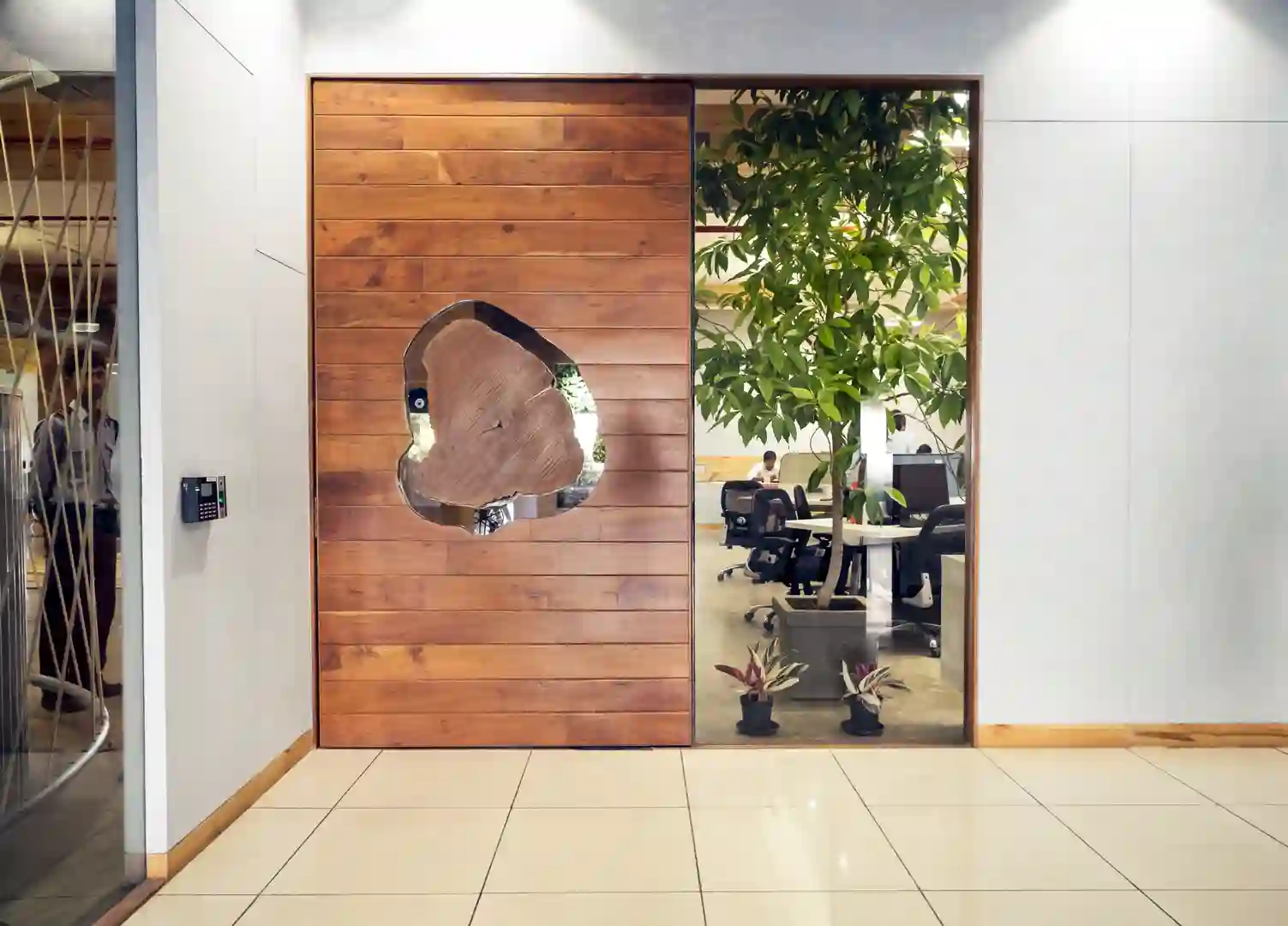 Revive Office image 2
